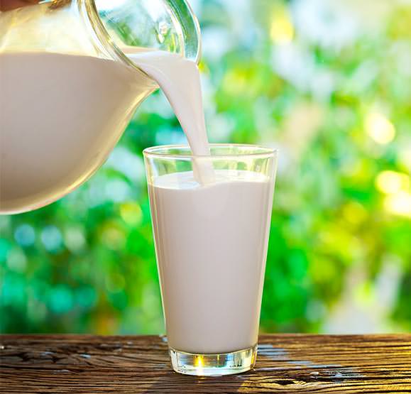 Elaboración de leche