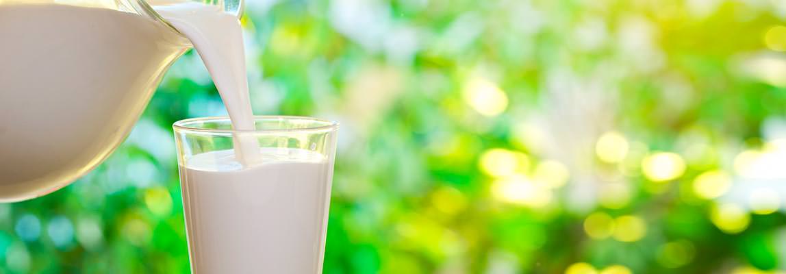Elaboración de leche